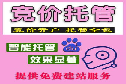 SEM公司案例分析：广告投放策略的优化